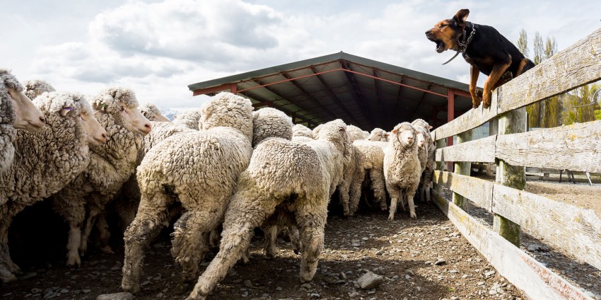 Bike Tours - Station 2 Station Cycle Trail