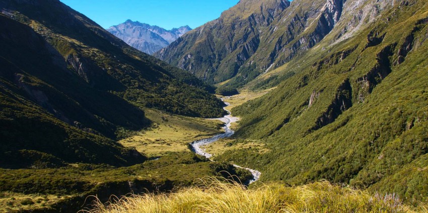 Franz Josef Day Tour