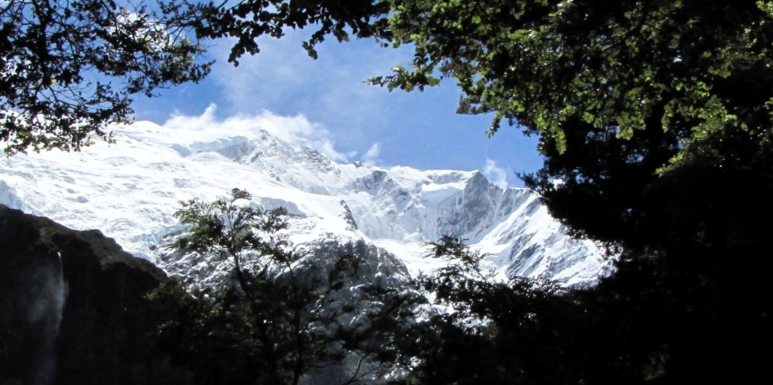 Guided Walks - Full Day Routeburn Nature Walk