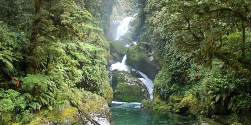 Milford Track Day Walk - Real Journeys