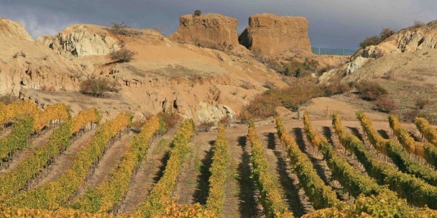 Wine Tours - Appellation Central Wine Tours